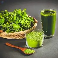 Centella Powder