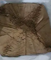 Noni Powder