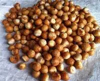 Betel Nut