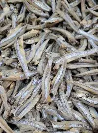 Dried Anchovy Fish