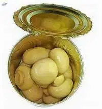 Canned Whole White Mushroom