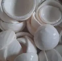 IQF Frozen Coconut
