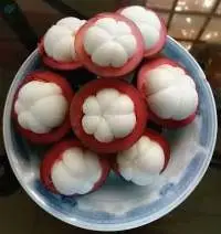 Fresh Mangosteen