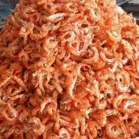 Dried Shrimp