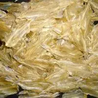 Dried Deep-Body Herring