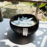 Coconut Shell Scented Candles