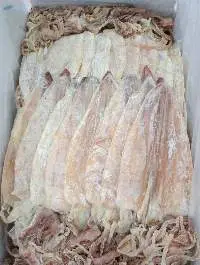 Dried Squid