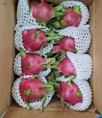 Dragon Fruit