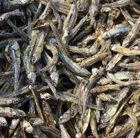 Dried Anchovy/ Sprat