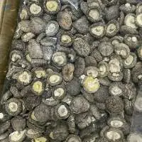 Dried Shiitake Mushroom Origin Viet Nam