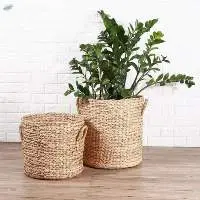 Water Hyacinth Plant Pot