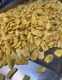 Frozen JackFruit