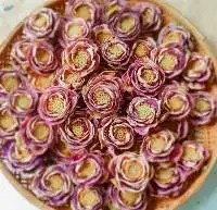 Dried Lotus Flower
