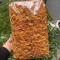 Cordyceps Mushroom Origin Viet Nam