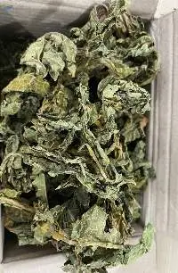 Dried Papaya Leaf
