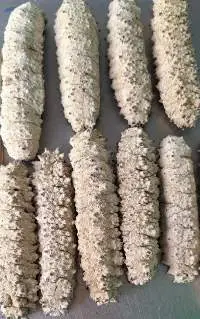 Dried Sea Cucumber