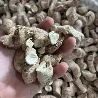Dried Stem Shiitake Mushrooms