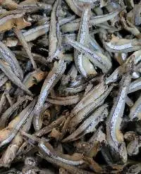 Dried Anchovy Fish/ Sprat Fish