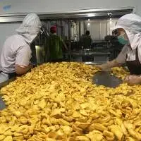 Dried Slice Jack Fruit