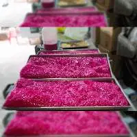 Red Dragon Fruit Powder