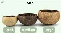 Coconut Shell Bowl