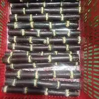 Frozen Sugarcane Of Poles