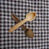 Areca Palm Leaf Spoon