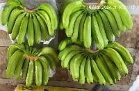 Fresh Banana