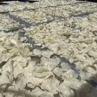 Dried Fish Maws