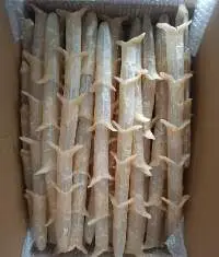 Dried Fish Maw  