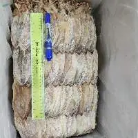 Dried Squid Origin Viet Nam