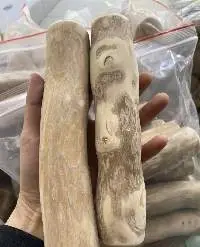 Coffee Wood Chew Pet Toys