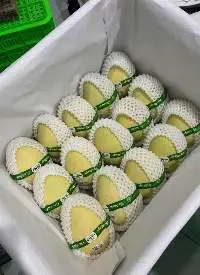 Natural Fresh Mango