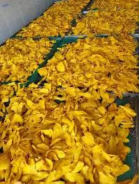 Dried Soft Mango Slice