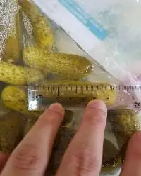 Pickled Gherkin/ Pickled Cucumber