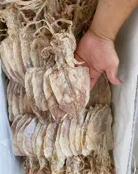 Dried Squid