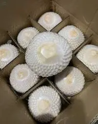 Fresh Coconut Water