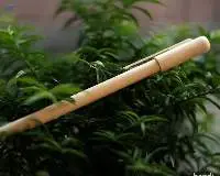 Bamboo Pen