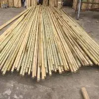 Bamboo Pole