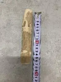 Coffee Wood Chew