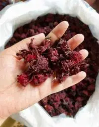 Dried Hibiscus Flower