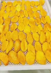 Dry Fruits Dried Mango