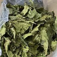 Dried Papaya Leaves