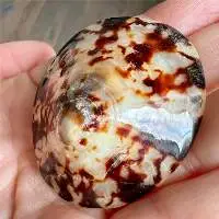Breastfeeding Shell