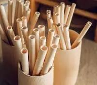 Bamboo Straws