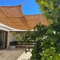Coir Fiber Shade Sail Net