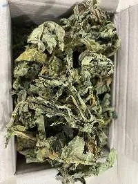 Dried Papaya Leaf