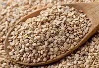 Dried Sesame Seed Viet Nam