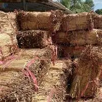 Raw Water Hyacinth Rope