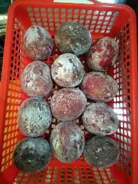 IQF Whole Passion Fruits